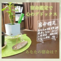 画像493