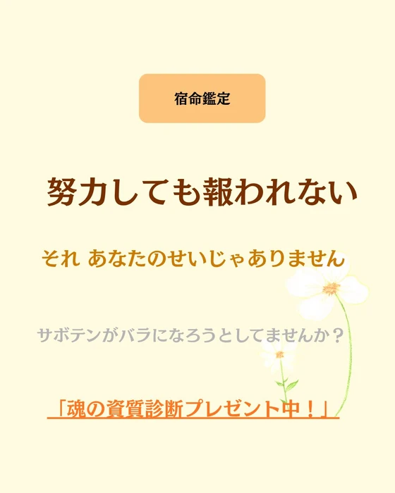 画像518