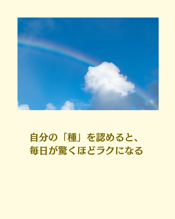 画像522